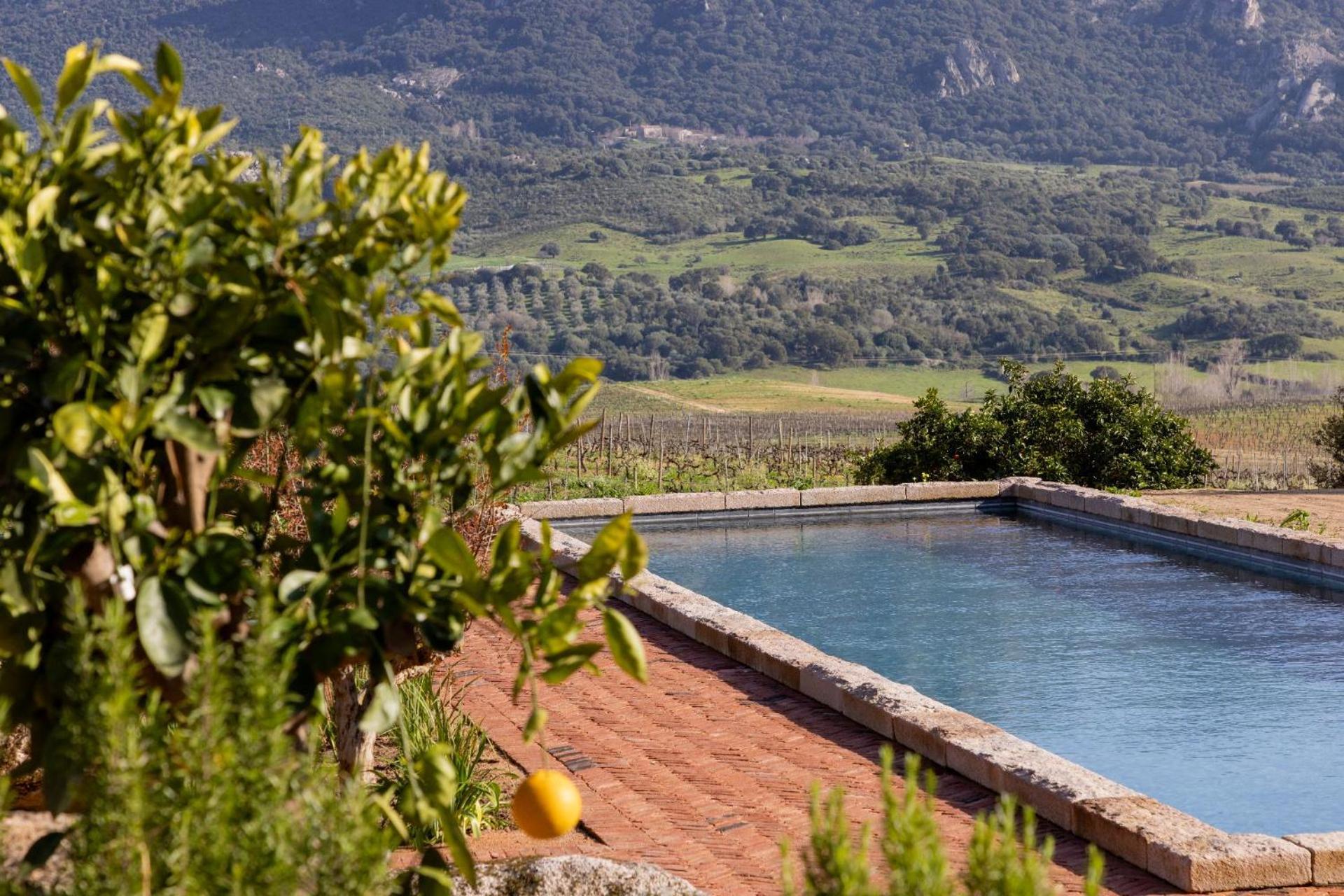 Sartène Le Hameau De Saparale מראה חיצוני תמונה